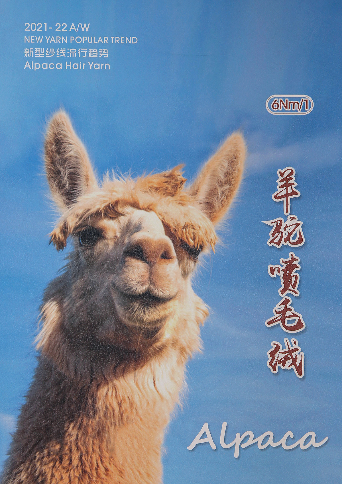 1/6NM羊驼喷毛纱