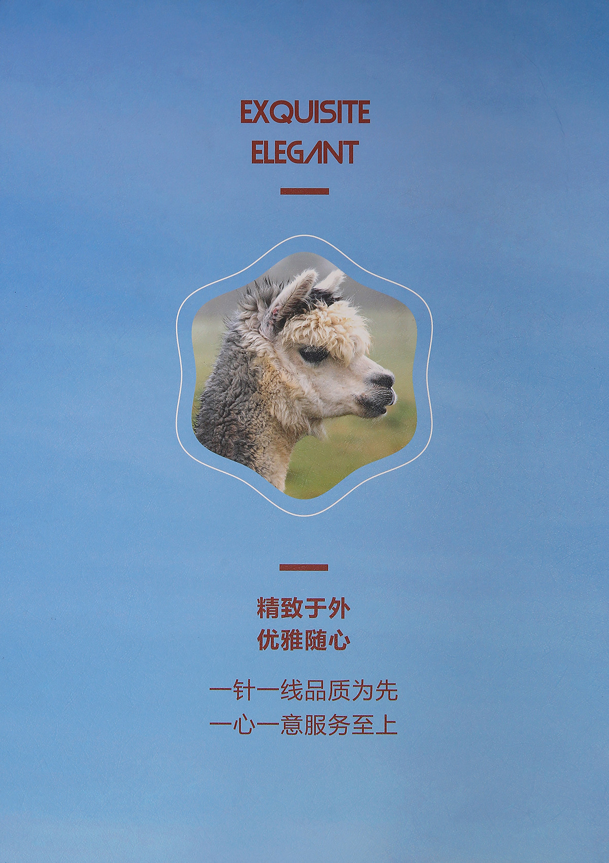 1/6NM羊驼喷毛纱