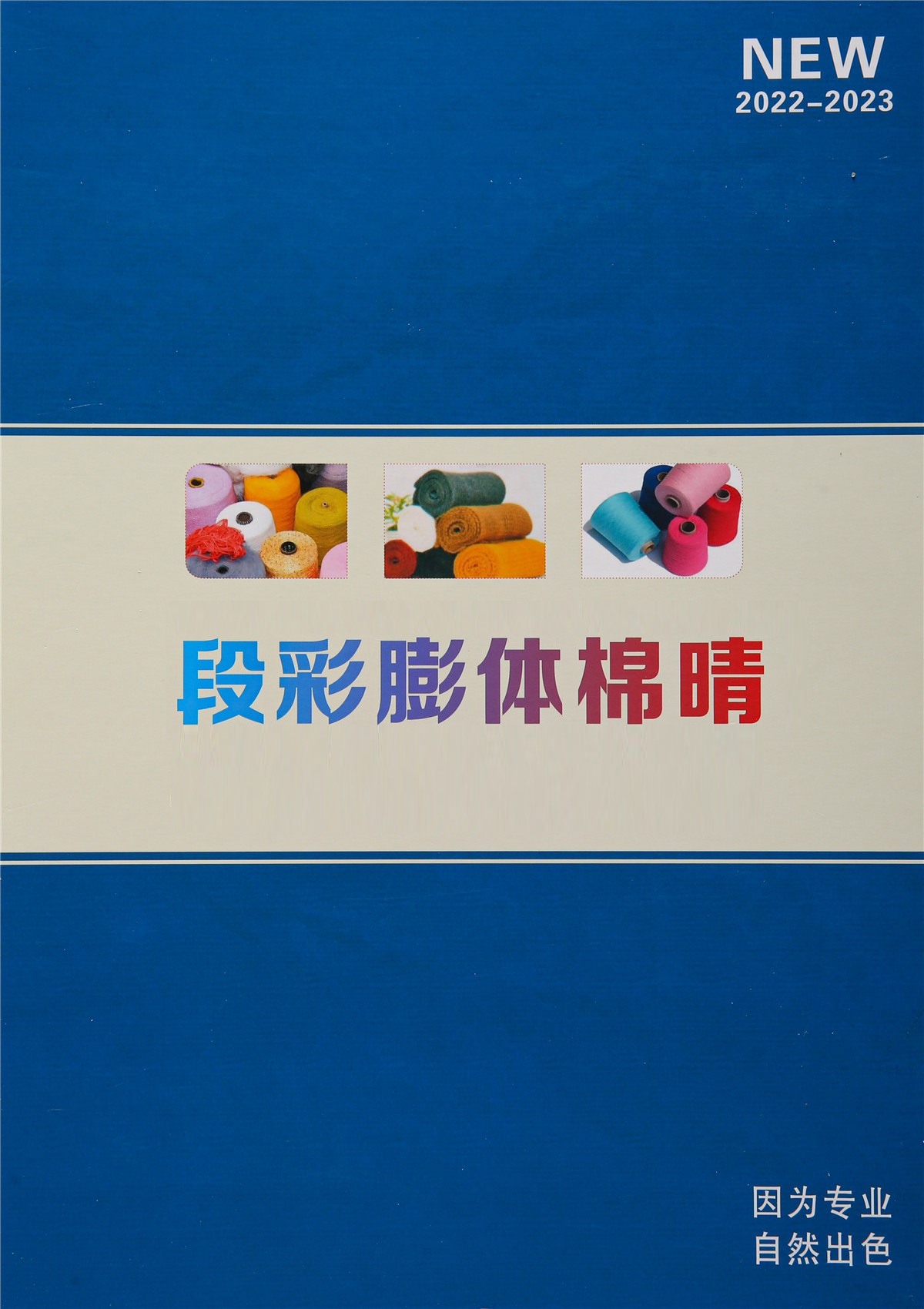 16S/2段彩膨体棉晴