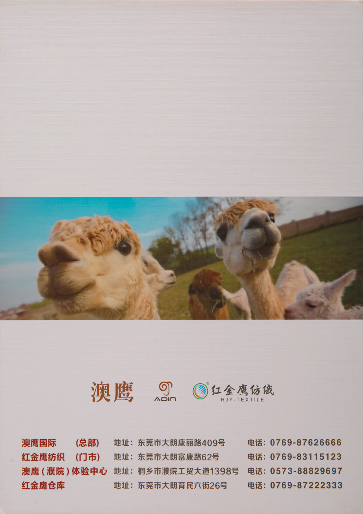 4.5NM/1幻彩弹力驼绒