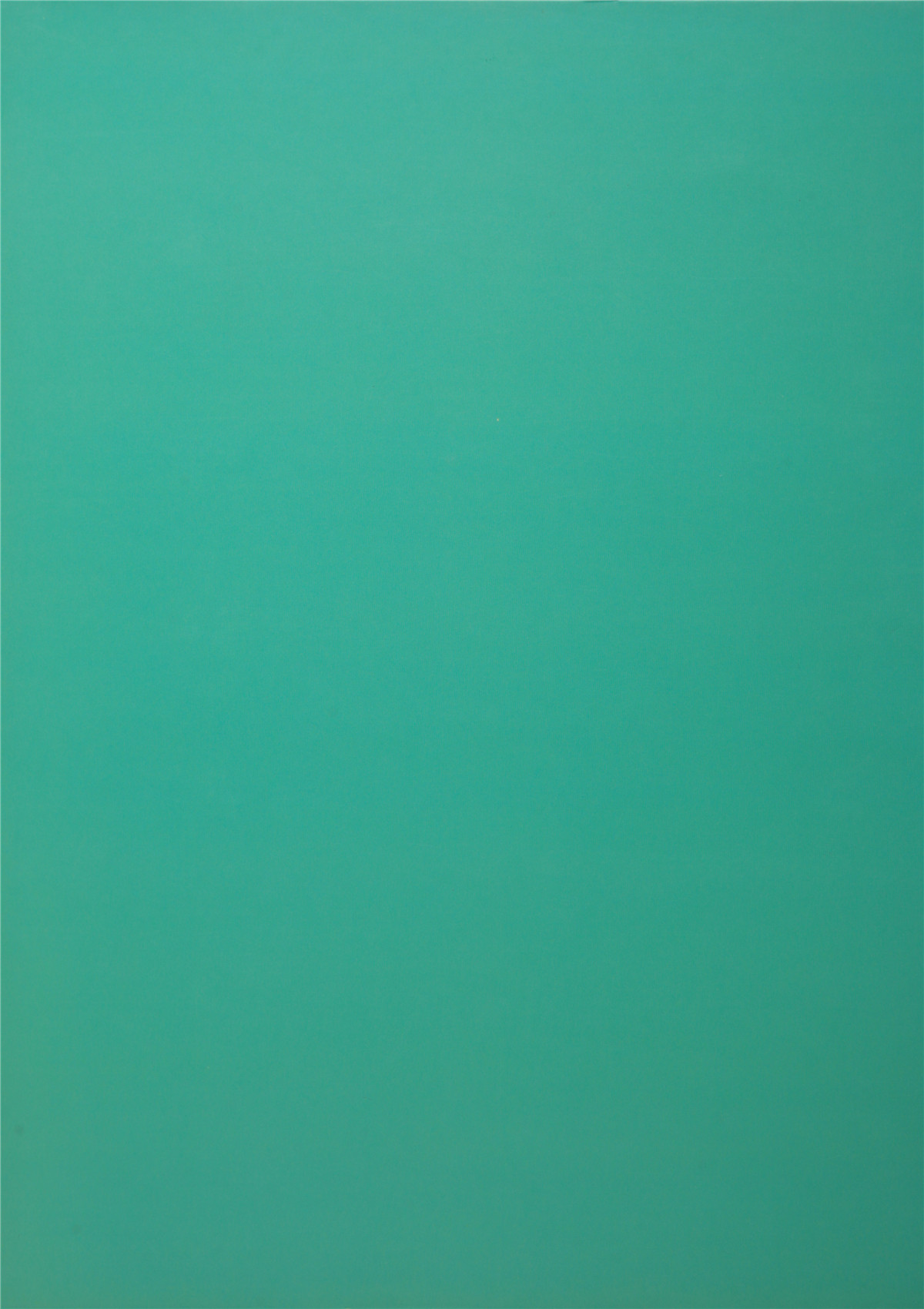 13支弹力夹花兔绒