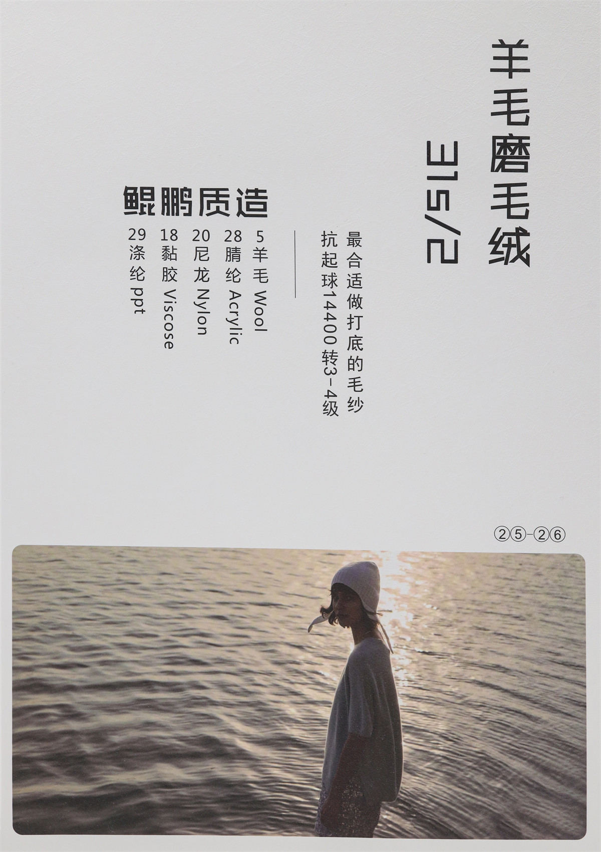 31S/2 羊毛磨毛绒