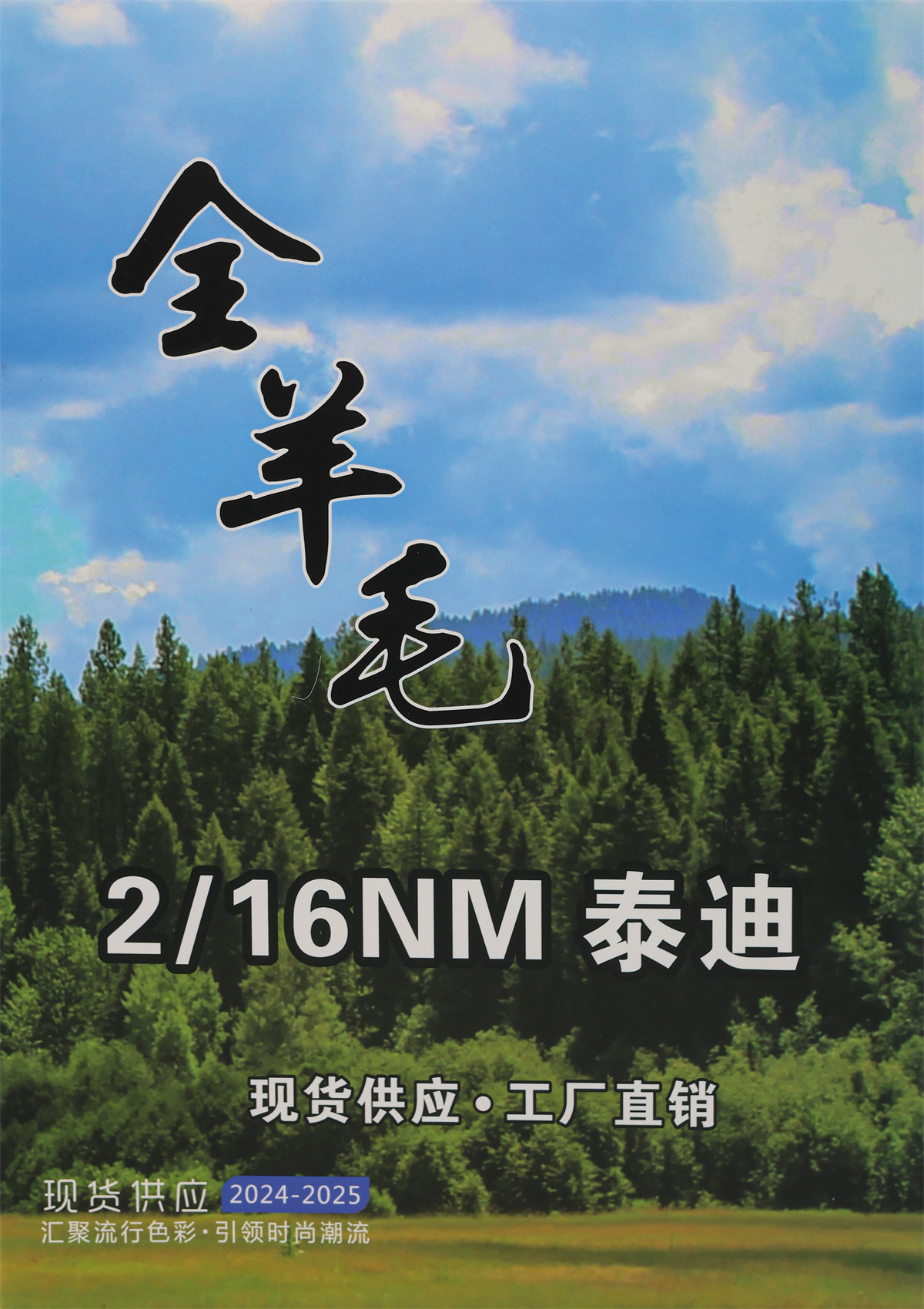 2/16NM 泰迪（精纺100%全羊毛）