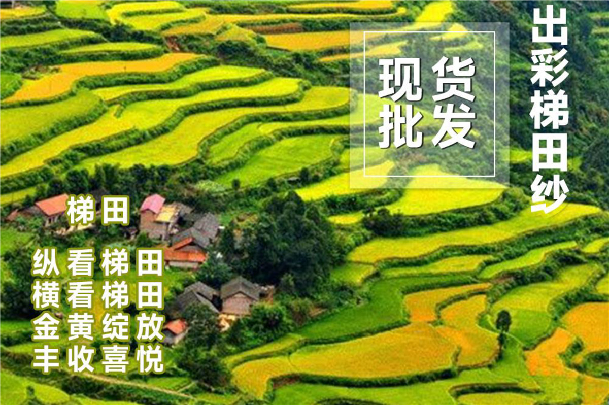 1/3NM 出彩梯田纱