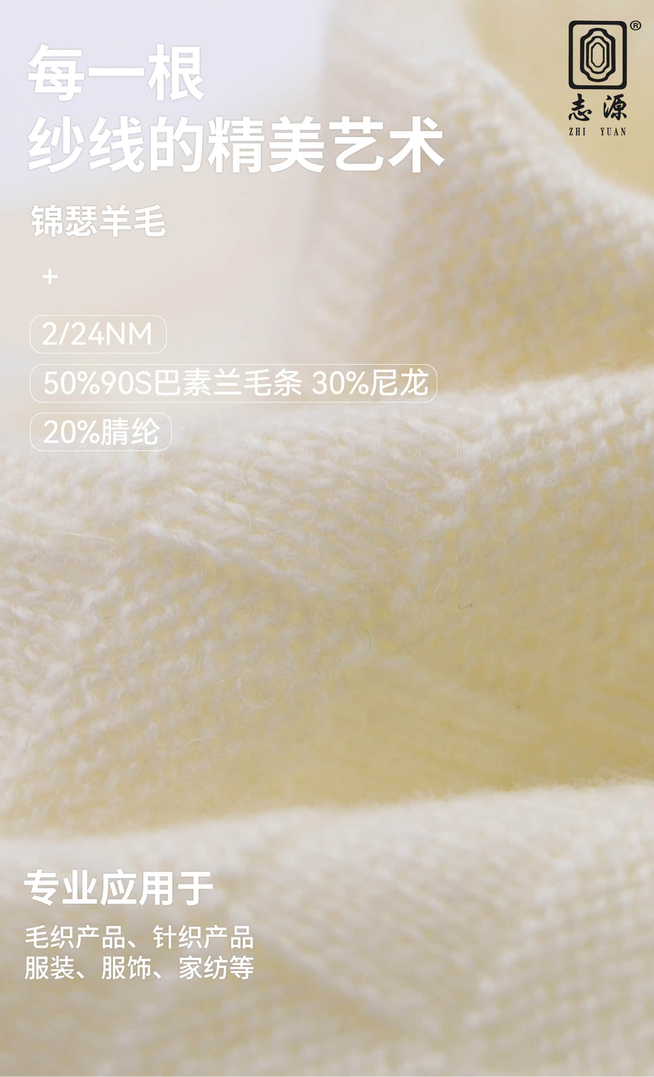 202502091115824579.jpg