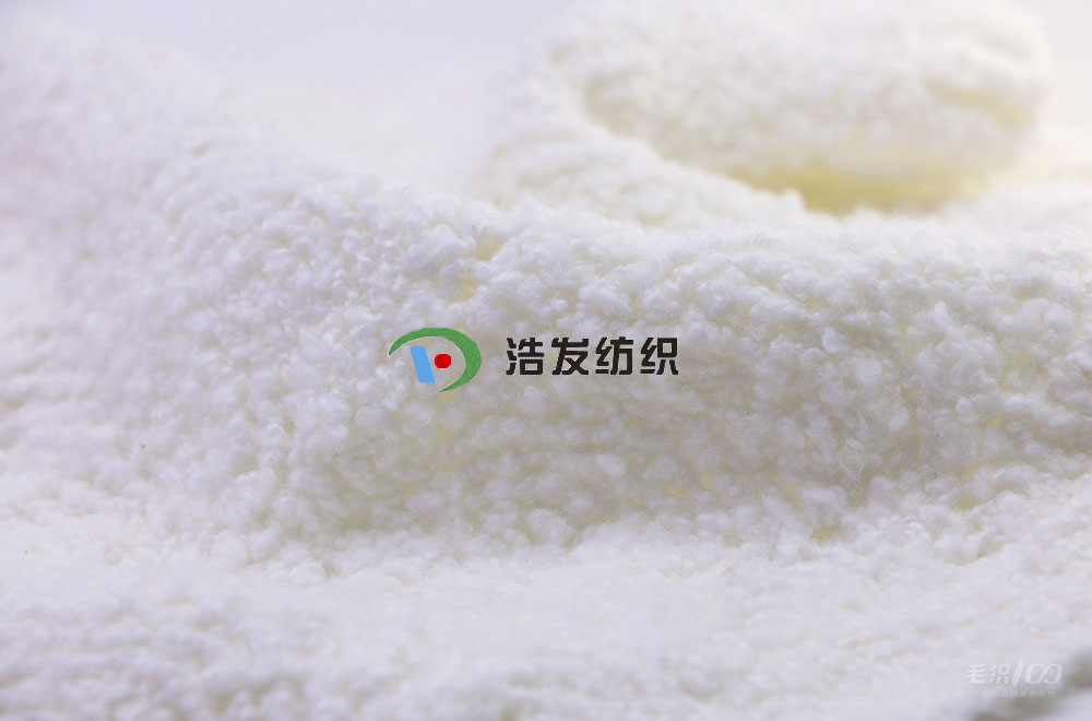 7支超柔泰迪圈圈棉-鼎汇纺织