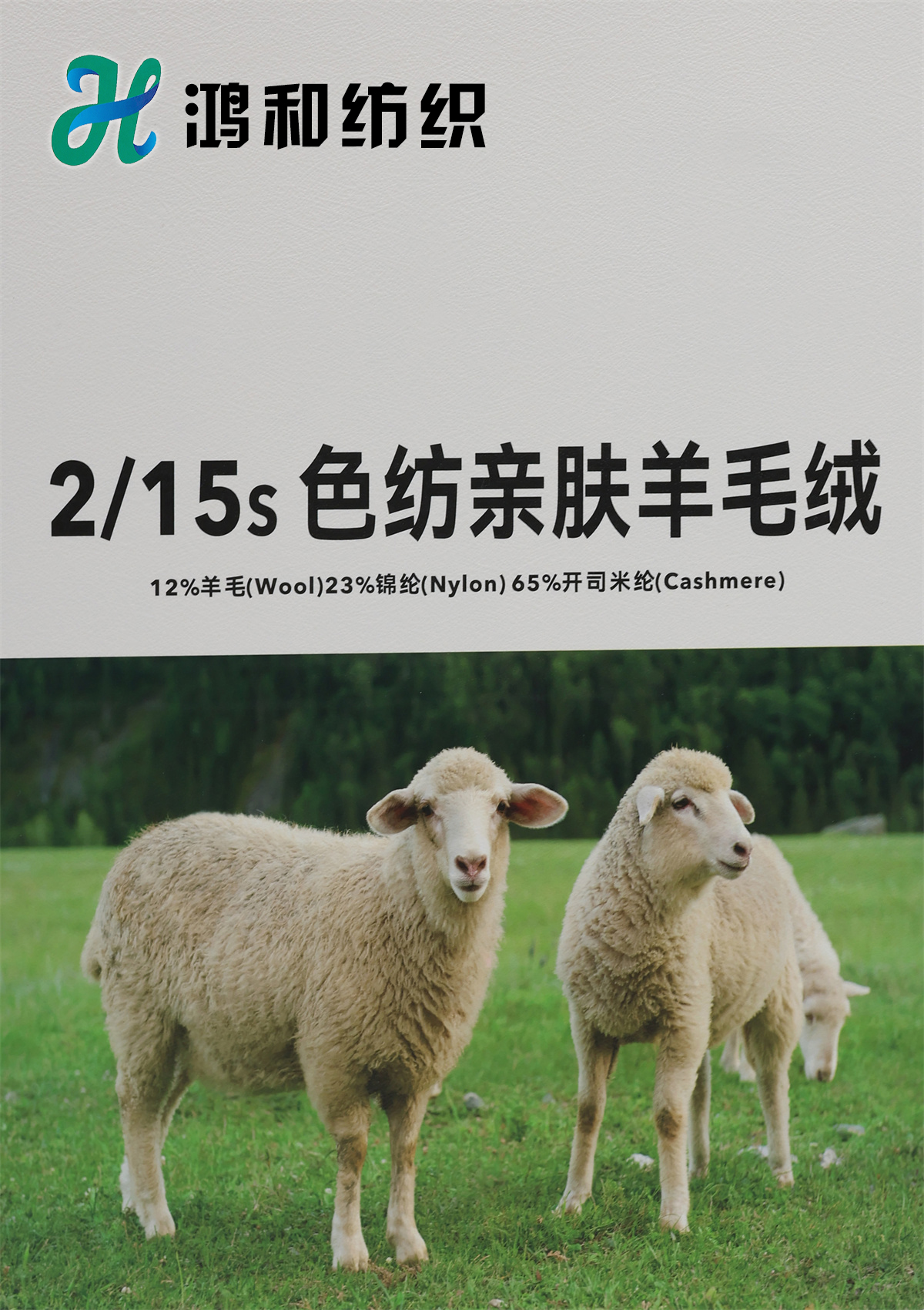 2/15S 色纺亲肤羊毛绒