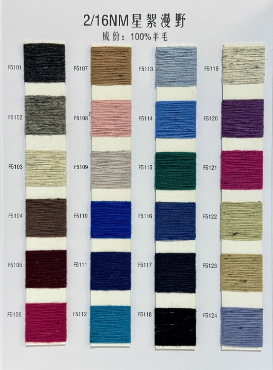 2/16NM星絮漫野