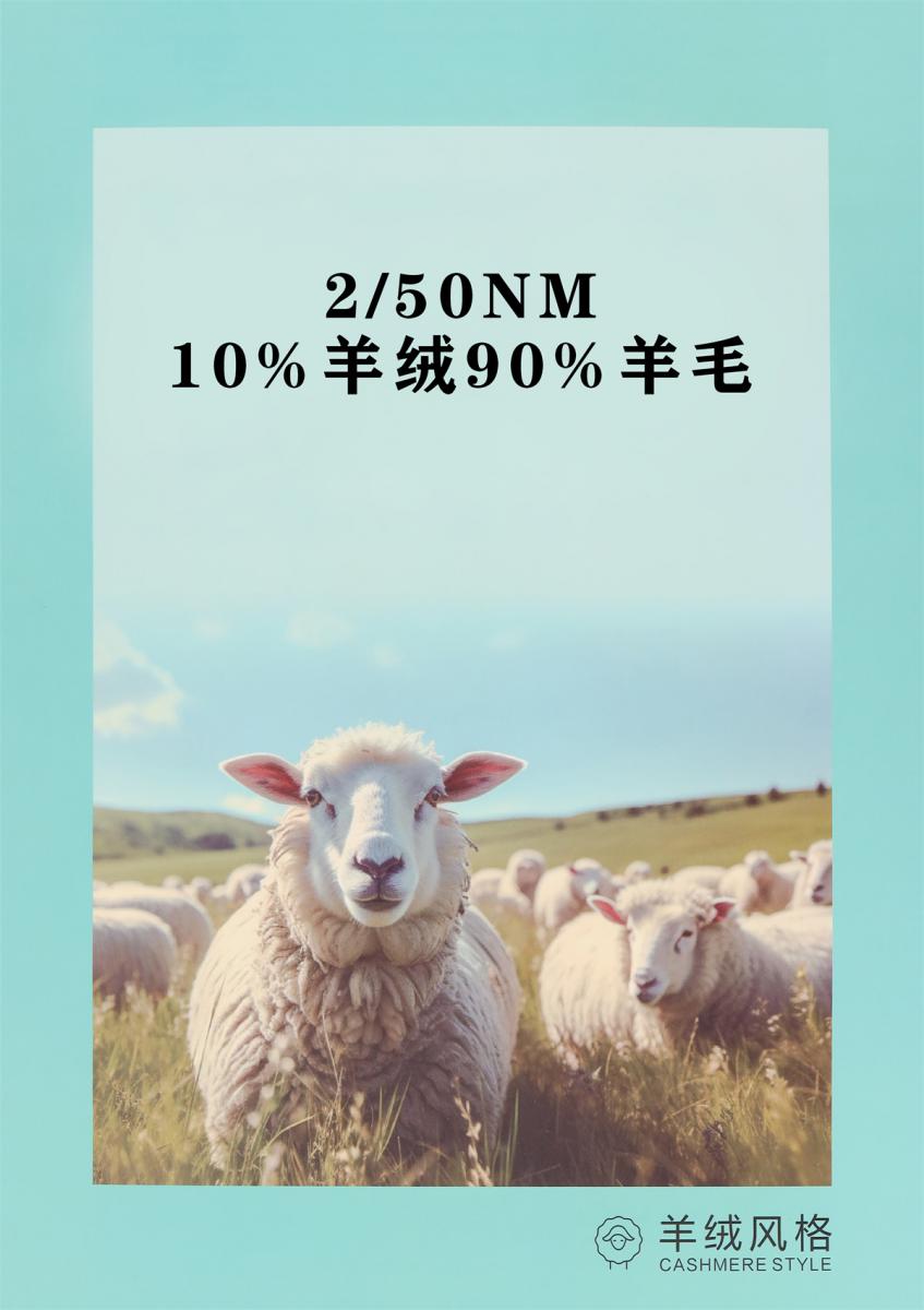 2/50NM 10%羊绒90%羊毛