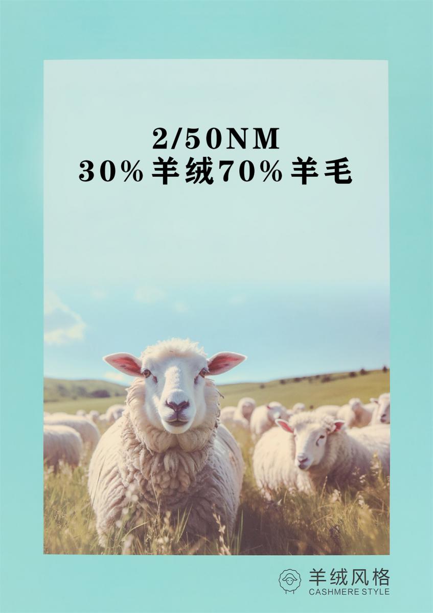 2/50NM 30%羊绒70%羊毛