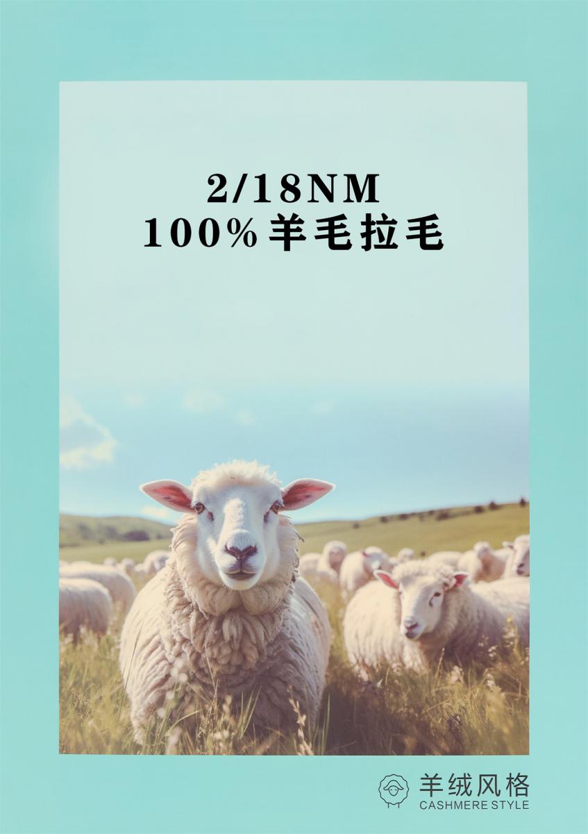 2/18NM 100%羊毛拉毛