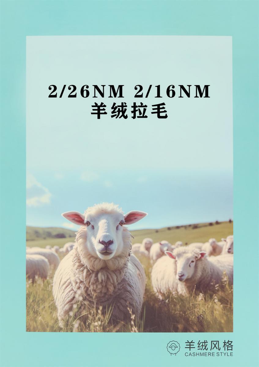 2/26NM 2/16NM 羊绒拉毛
