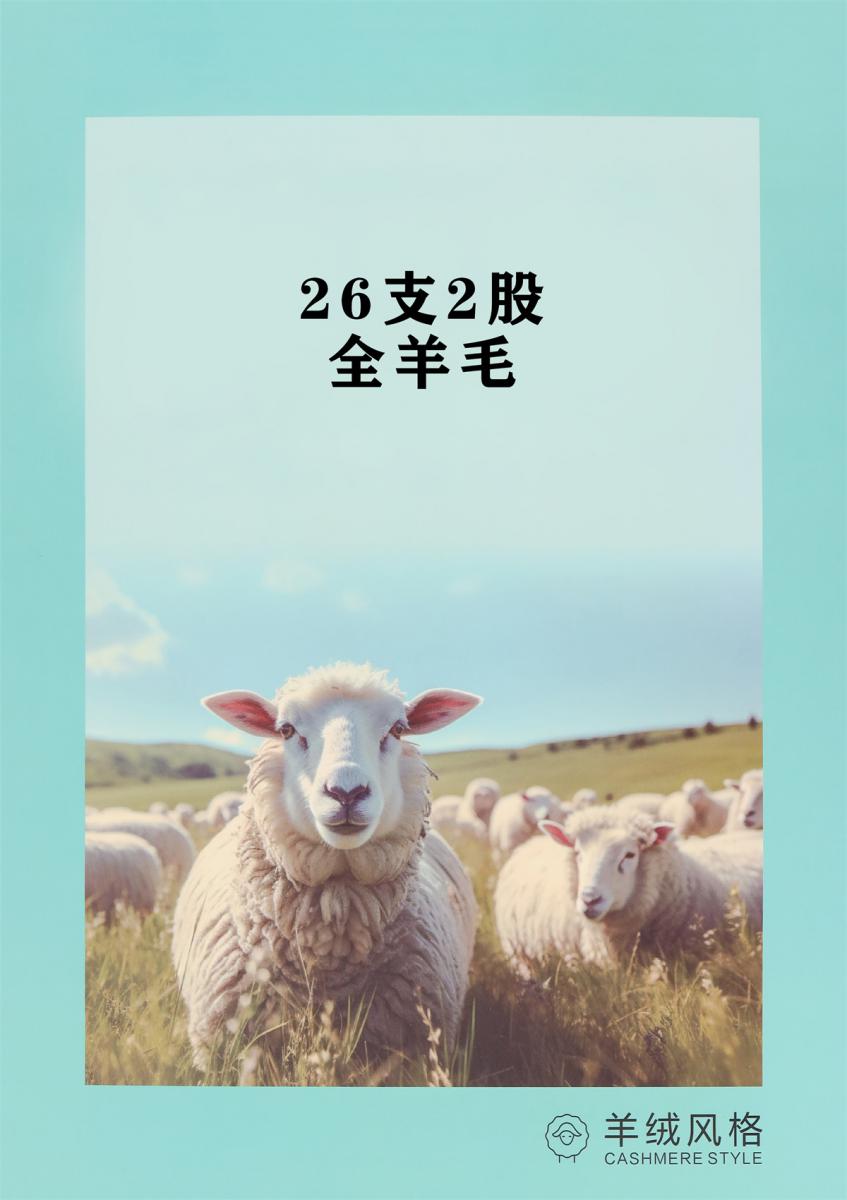 全羊毛 26支2股