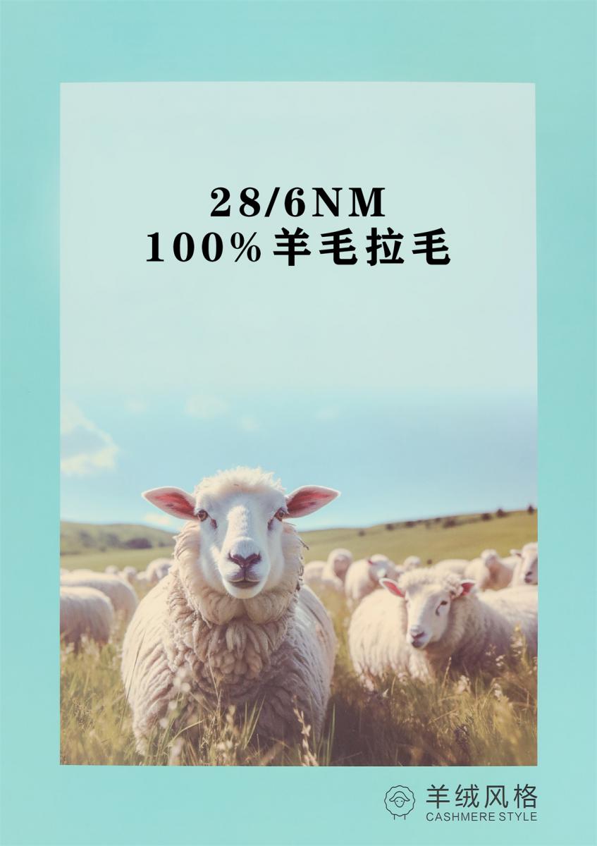 28/6NM 100%羊毛拉毛