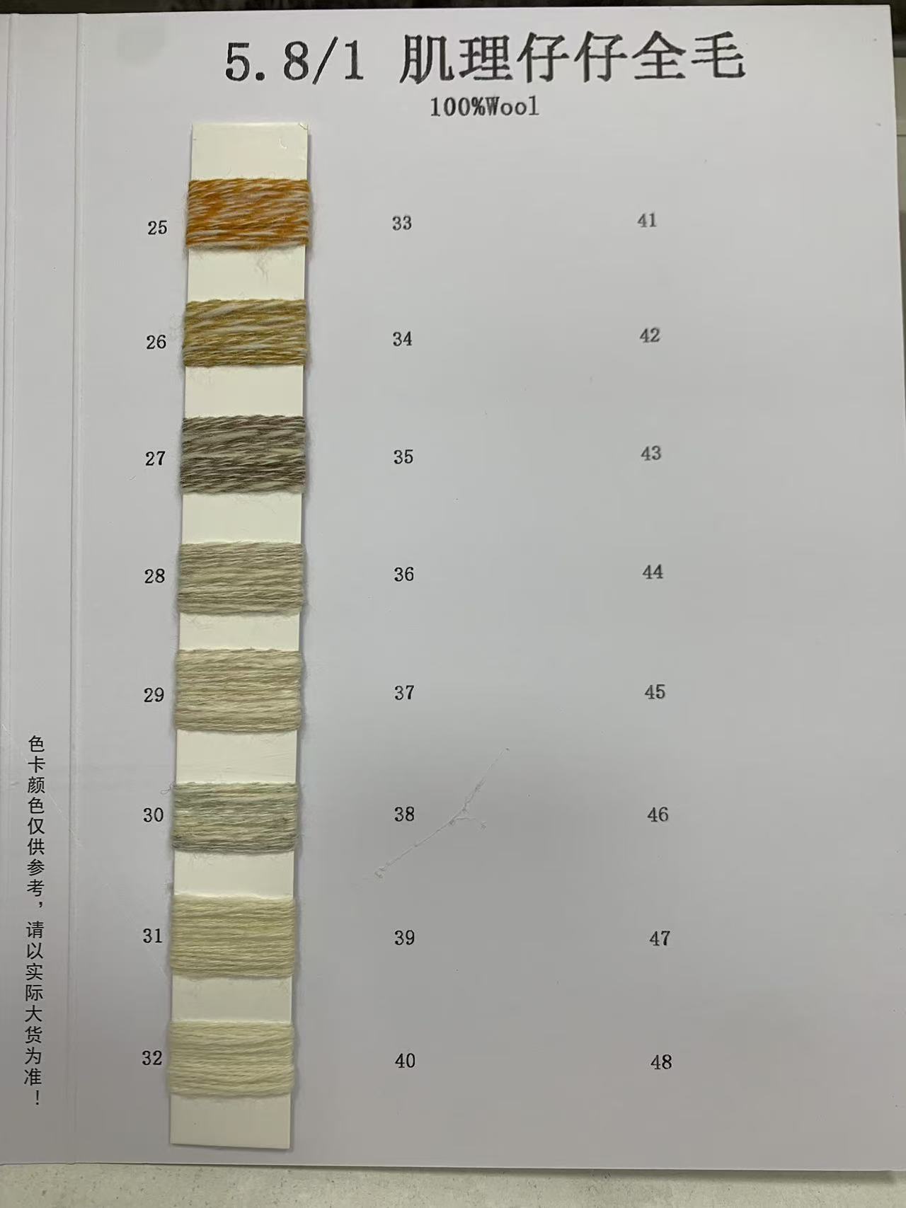 肌理仔仔全毛