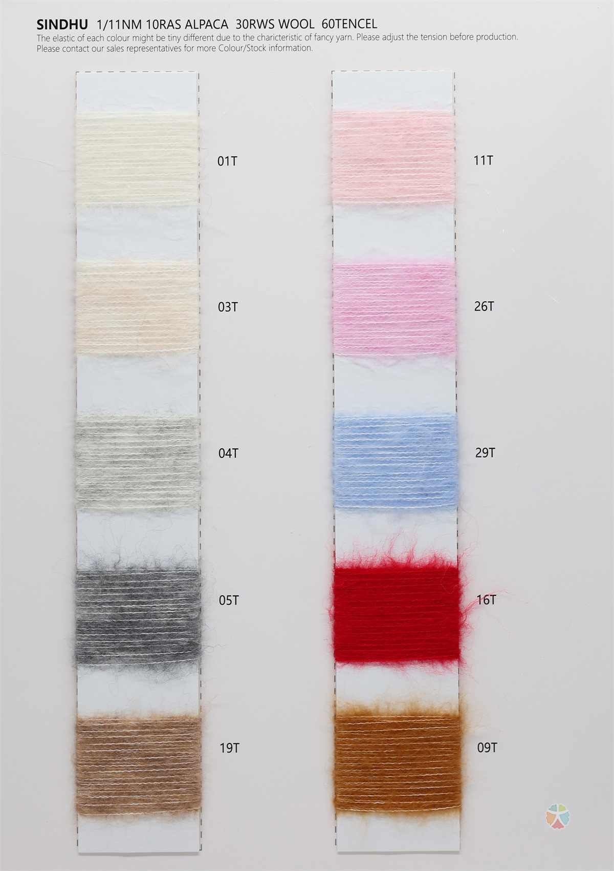 1/11NM 天竺