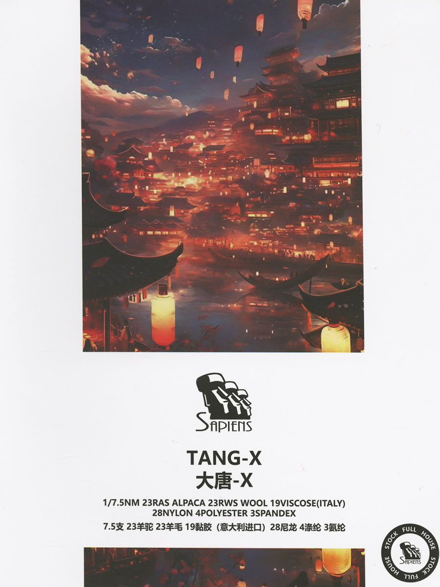 大唐-X-TANG-X