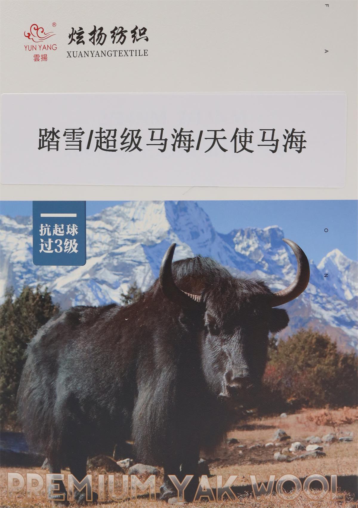 1/4.2Nm超级马海
