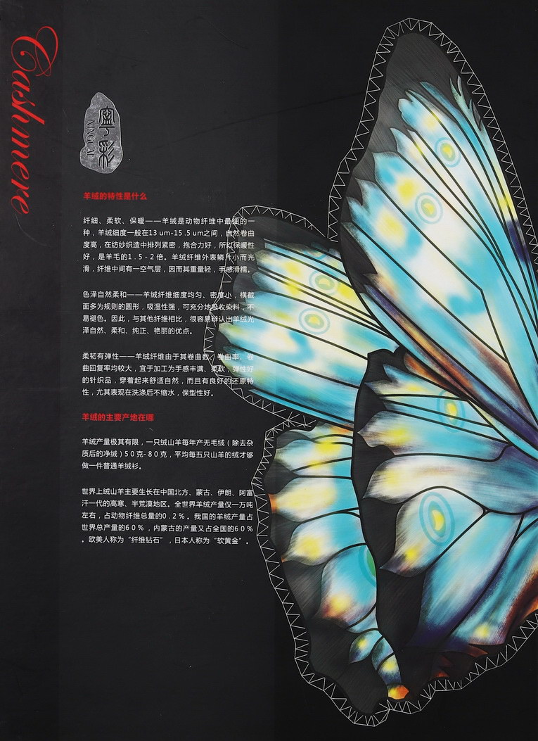 2/26NM CASHMERE COLLECTION