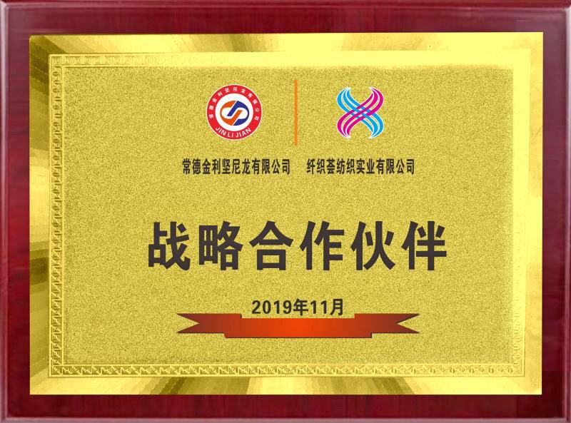 2019年战略合作伙伴