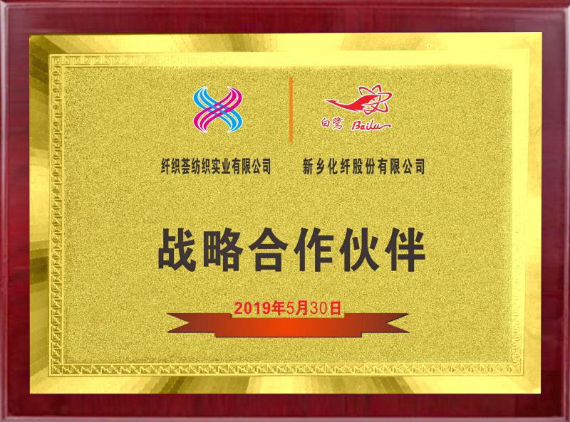 2019年战略合作伙伴