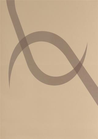 1/15NM精梳棉呢绒