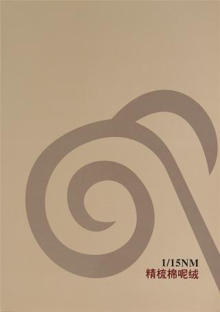 1/15NM精梳棉呢绒