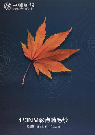 1/3NM彩点喷毛纱