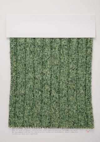 1/4NM星光点点网带纱