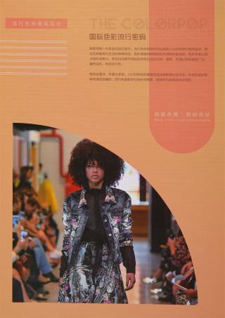 40S/2 精梳紧密纺棉纱