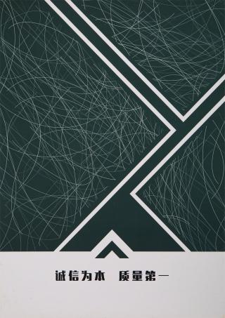 2/48NM 抗菌羊毛绒