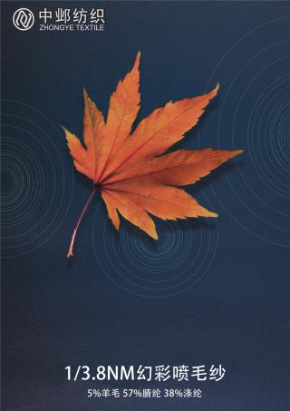 1/3.8NM幻彩喷毛纱