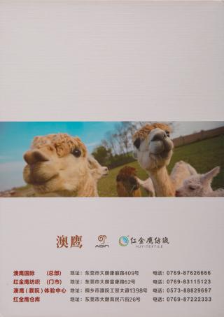 4.5NM/1幻彩弹力驼绒