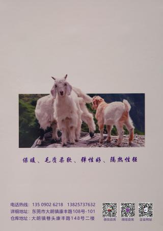 30NM/2  12羊毛混纺