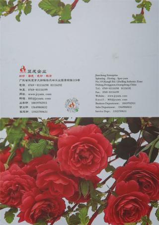 48NM/2 可机洗五五毛