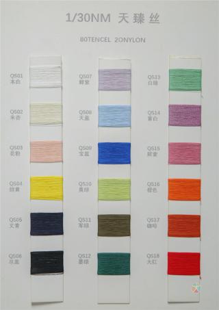 1/30NM 天臻丝
