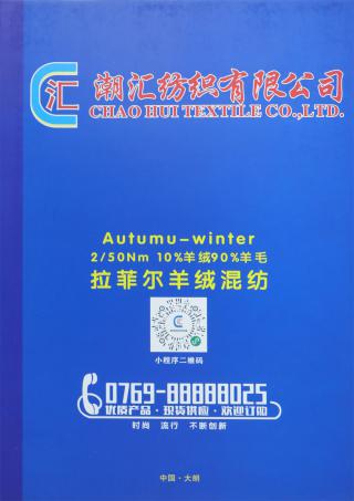 2/50NM 10%羊绒90%羊毛 拉菲尔羊绒混纺