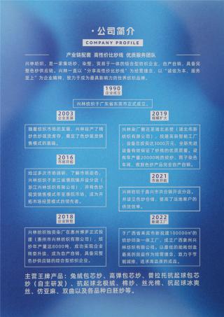 28S/2 高弹包芯纱