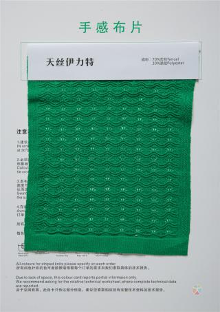 54NM/2抗起球高捻天丝伊力特