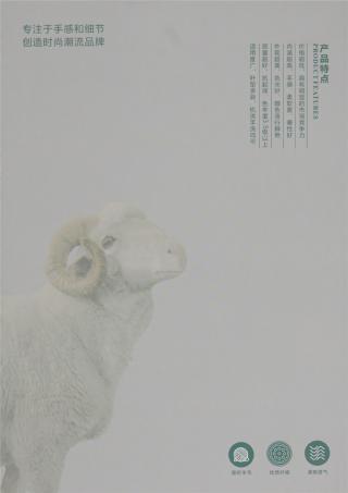 2/45NM 6%羊毛混纺