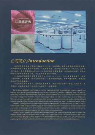 2/32NM 2/48NM 山羊绒混纺系列