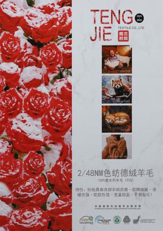 2/48NM 色纺德绒羊毛 