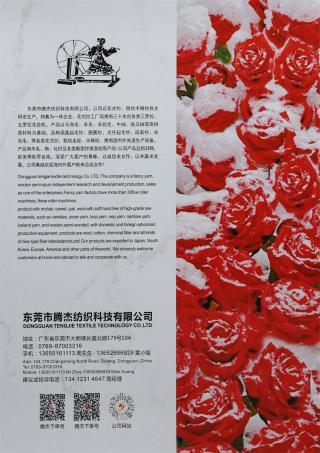 2/48NM 色纺德绒羊毛 