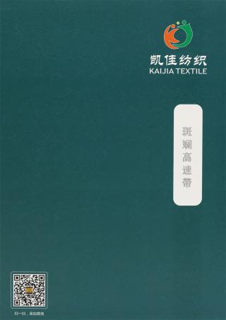 1/3.8NM 斑斓高速带