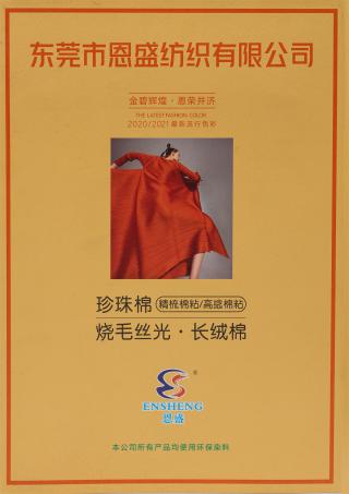 101NM/2 烧毛丝光·长绒棉