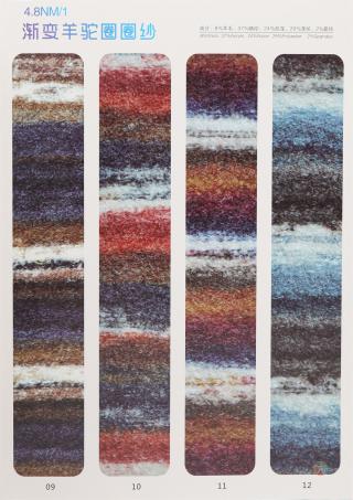 1/4.8NM 渐变羊驼圈圈纱