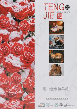 2/80NM 2/28NM 2/48NM进口金葱丝羊毛