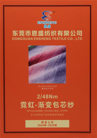 2/48Nm 霓虹-渐变包芯纱