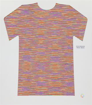 28NM/2D 段染仿羊绒