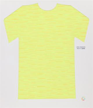 28NM/2D 段染仿羊绒